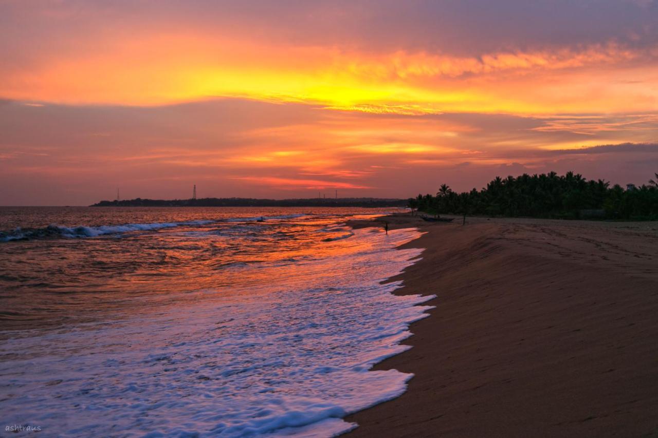 Neem Jay Beach Resort Tangalle Dış mekan fotoğraf