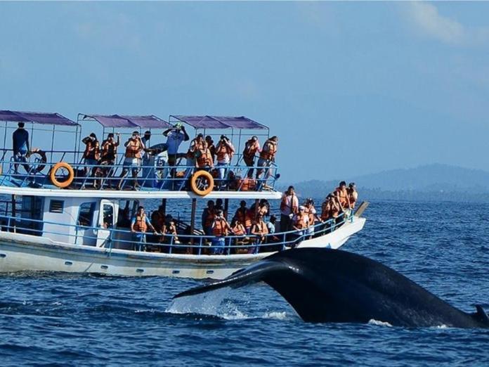 Neem Jay Beach Resort Tangalle Dış mekan fotoğraf